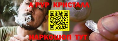 прущие грибы Гатчина
