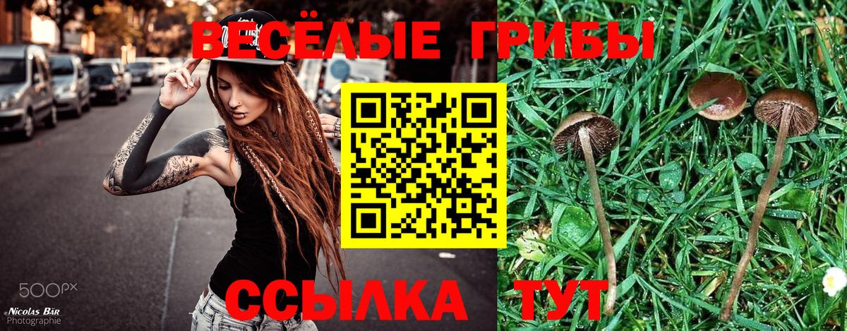 Галлюциногенные грибы Psilocybine cubensis  Вход с VPN  Ртищево 